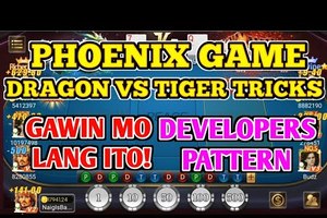 What is Dragon Tiger Online